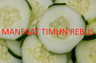 manfaat timun rebus