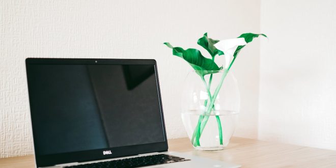 Cara Mengembalikan Kursor yang Hilang di Laptop Dell