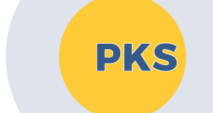 Kemendikdasmen siapkan aplikasi pendukung pelaksanaan PKS