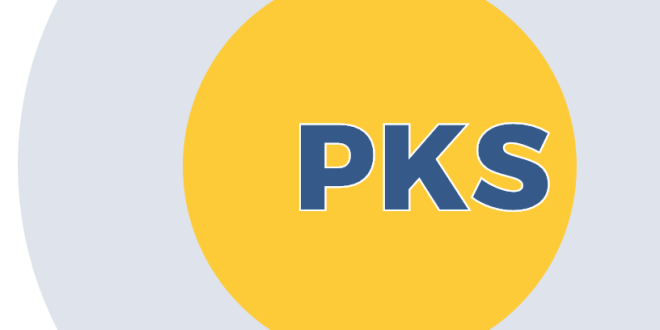 Kemendikdasmen siapkan aplikasi pendukung pelaksanaan PKS