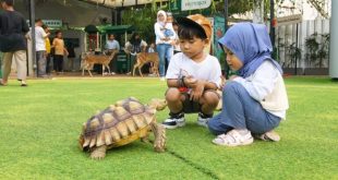 Masa Kecil Takkan Terulang Orang Tua Wajib Tahu Cara Bangun Bonding Tanpa Gadget di Era Digital!